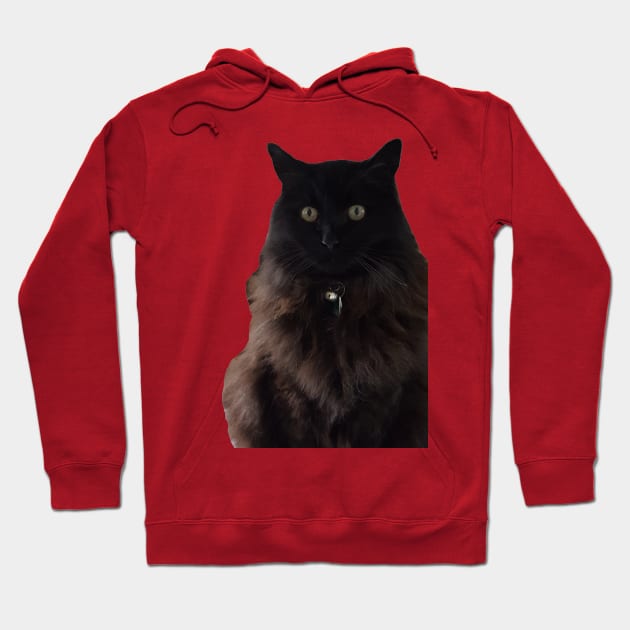 waffle the cat Hoodie by Kaczmania